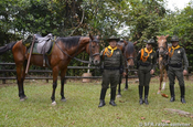 Polizei mit Pferden in Villavicencio