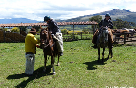 Einreiten Ecuador