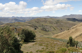 Andenlandschaft