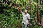 Ralph Sommer mit Kakaobaum