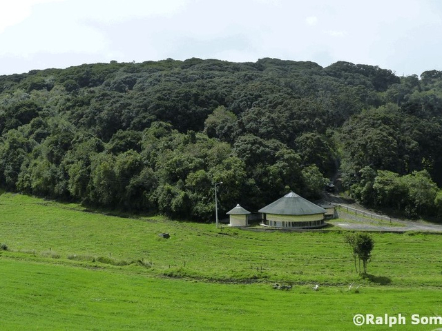 Arrayan-Wald Ecuador