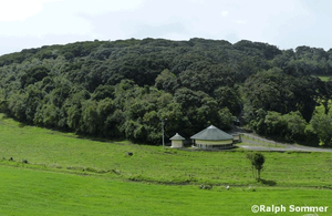 Arrayan-Wald Ecuador