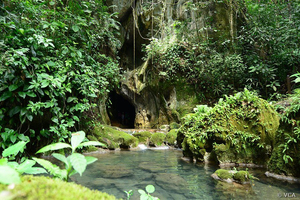 Flusslandschaft Höhle Belize
