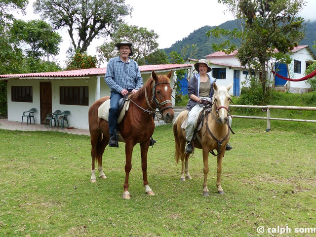 Pferderanch