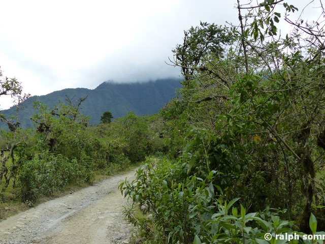 Weg im Krater Pululahua