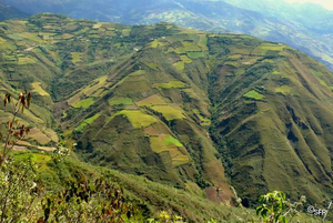 Berglandschaft