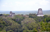 Urwald von Tikal