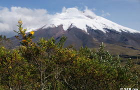 Vulkan Cotopaxi