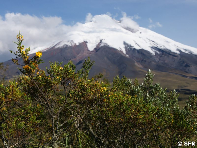 Vulkan Cotopaxi