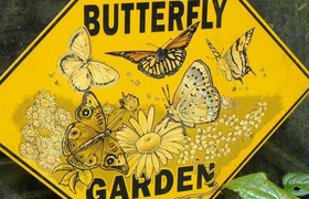 Schmetterlingsgartenschild in Belize