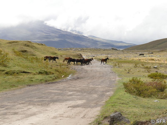 Nationalpark Cotopaxi