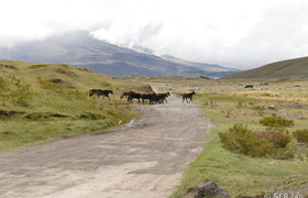 Nationalpark Cotopaxi
