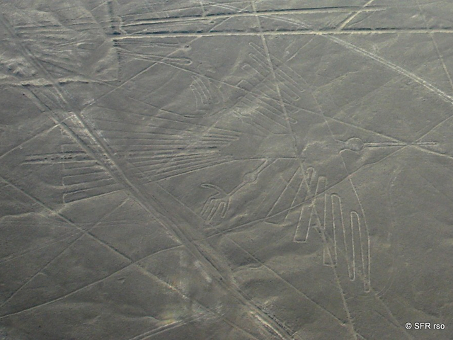 Nazca Linie
