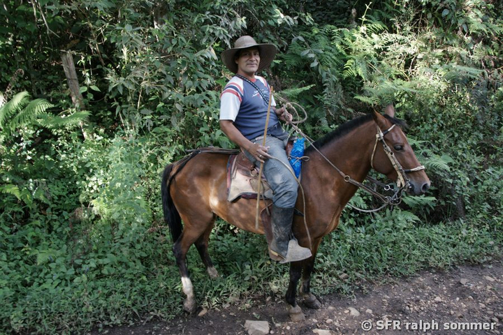 Silvio zu Pferd in San Agustín