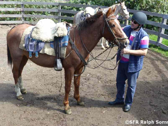 Reitplatz der Hazienda La Alegría