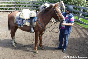 Reitplatz der Hazienda La Alegría