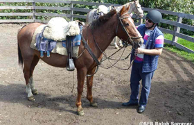 Reitplatz der Hazienda La Alegría