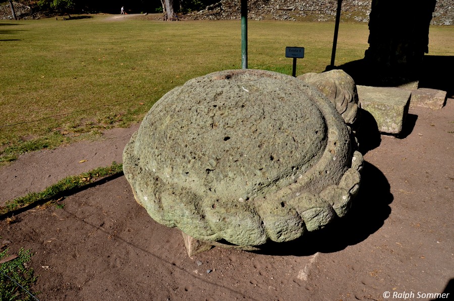 Schildkröte aus Tuffstein