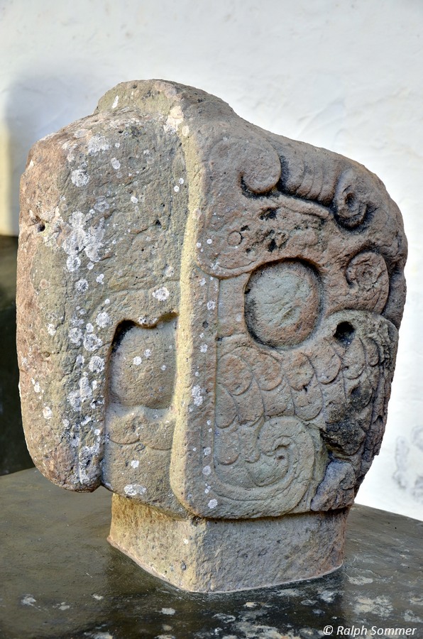 Papageienkopf als Mauerschmuck
