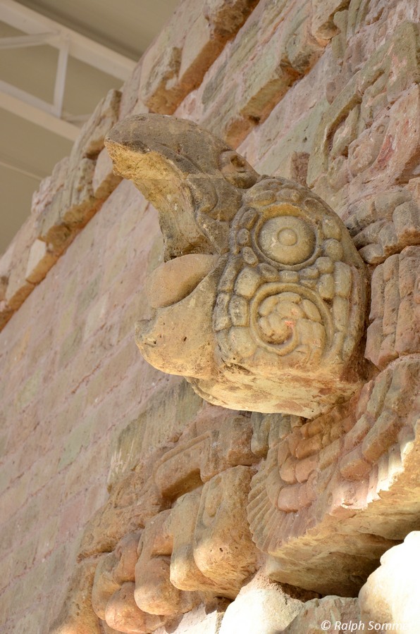 Papagei Ornament