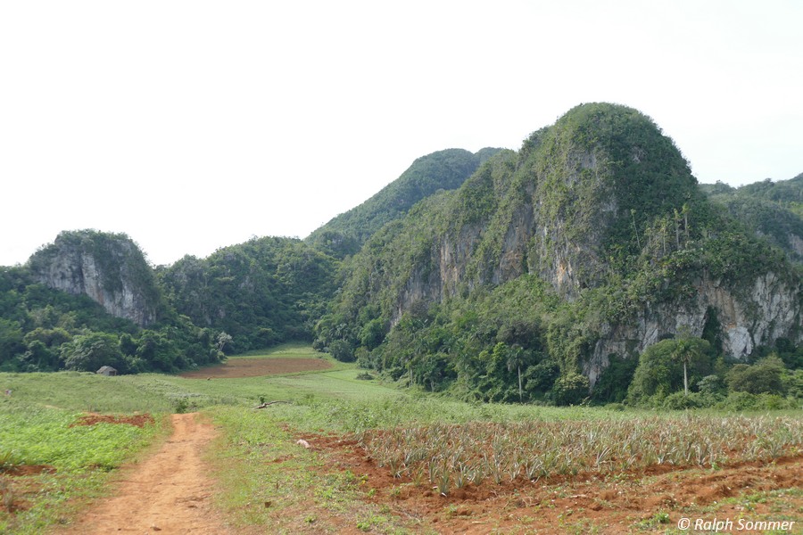 Mogotes Landschaft, Tal von Viñales