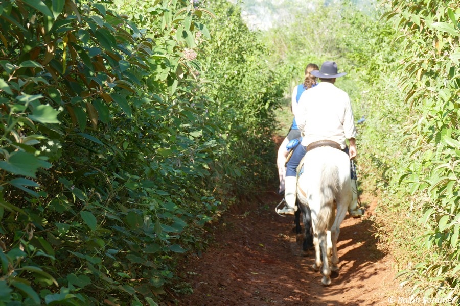 Reiter auf Pfad im Tal von Viñales 