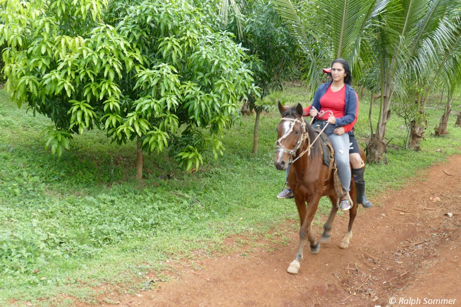 Reiterin im Tal von Viñales 
