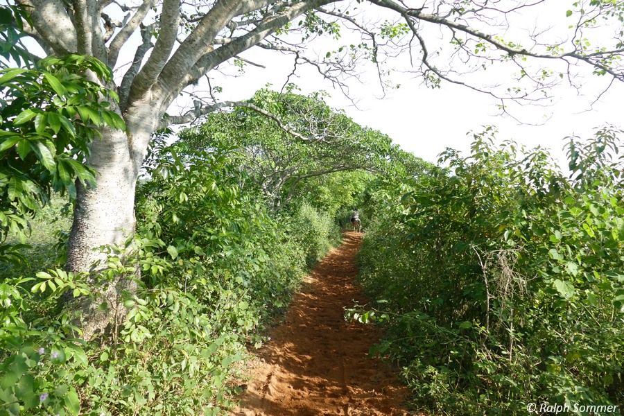 Reitpfad im Tal von Viñales