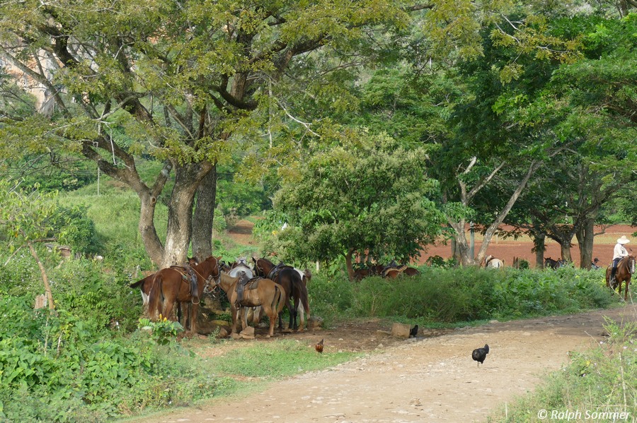 Reitertour im Tal von Viñales 