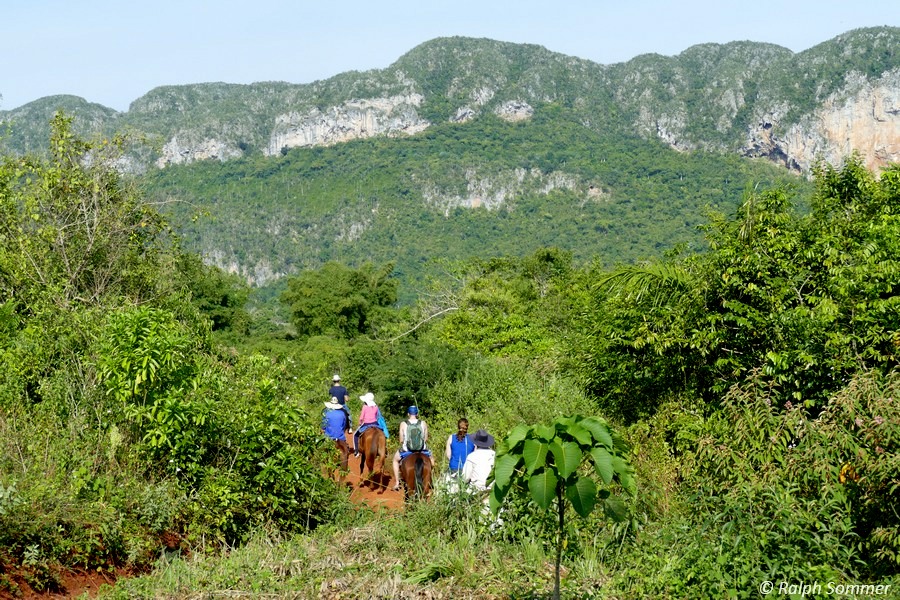 Reitour im Tal von Viñales 