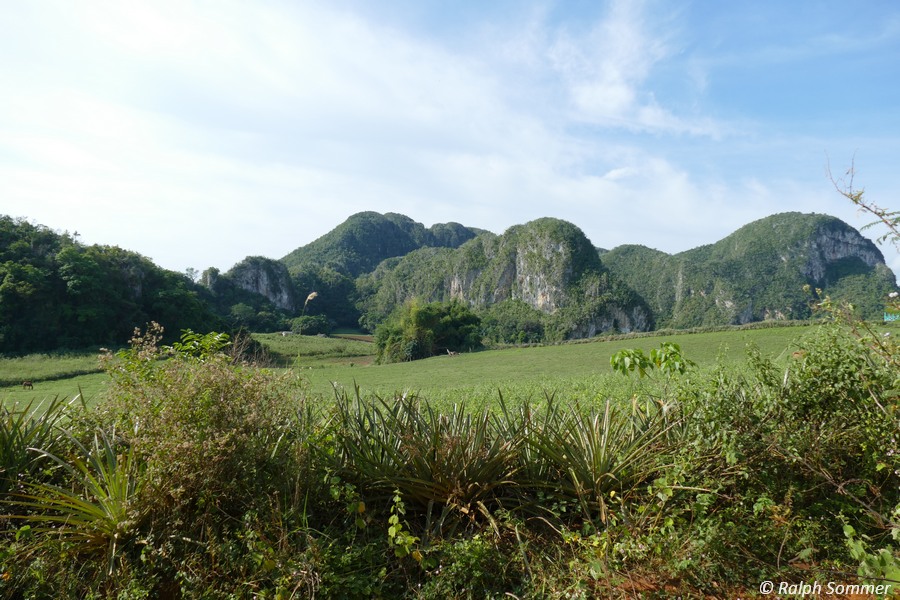 Kalksteinhügel Tal von Viñales