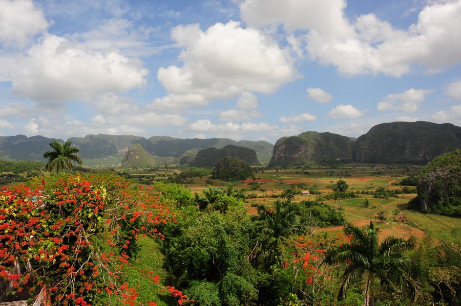 Kalksteinhügel im Tal von Viñales
