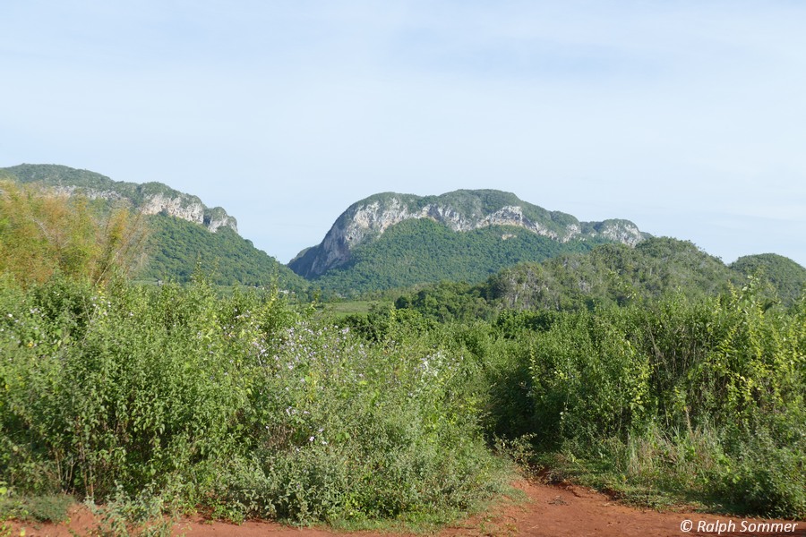 typisches Landschaftsbild