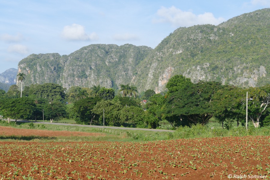 "Mogotes"-Hügel im Valle de Viñales