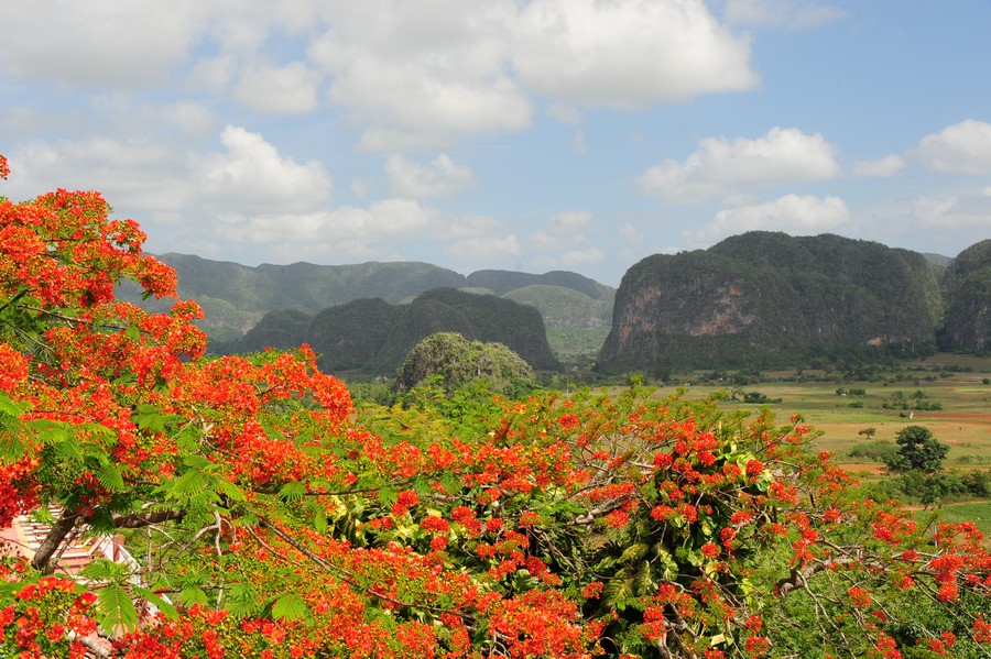Kalksteinhügellandschaft Valle de los Viñales