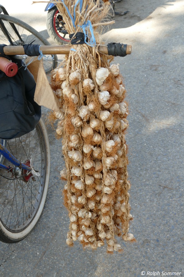 Knoblauchzopf