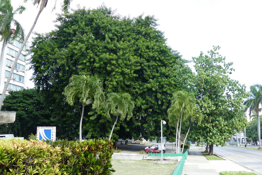 Postmuseum im Park von Havanna