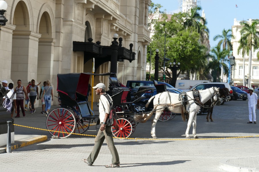 der Zentralpark in Havanna