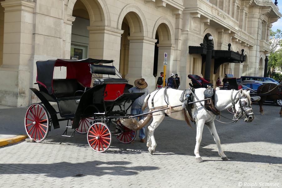 Pferdekutsche in der Altstadt Havannas