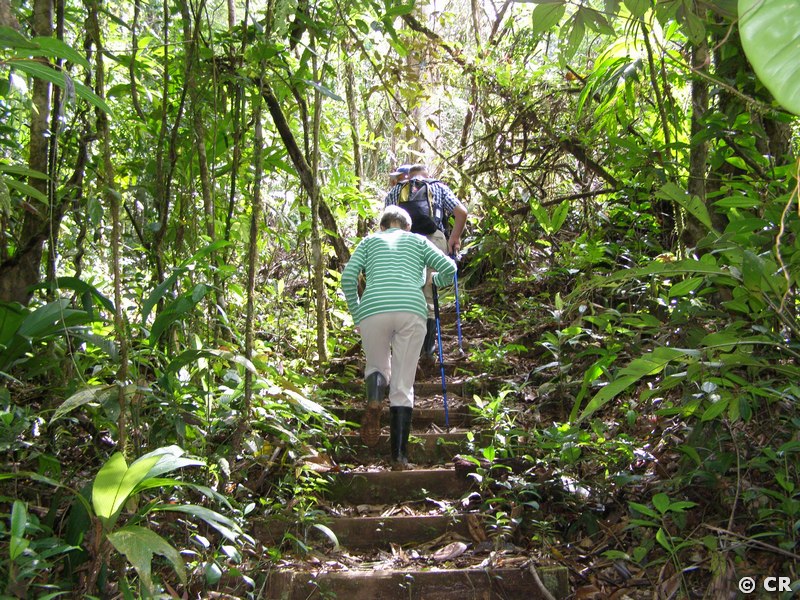 Birding im Naturreservat Indio Maiz Nicaragua
