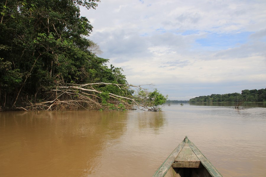 Amazonaslandschaft mit Boot