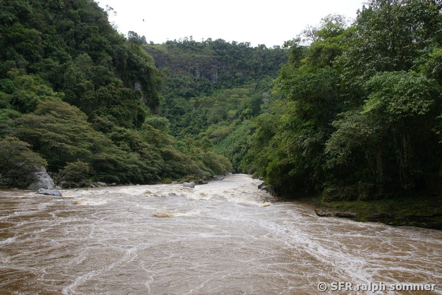 Rio Magdalena bei San Agustín