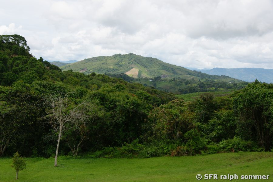 Wald und Berglandschaft bei San Agustín