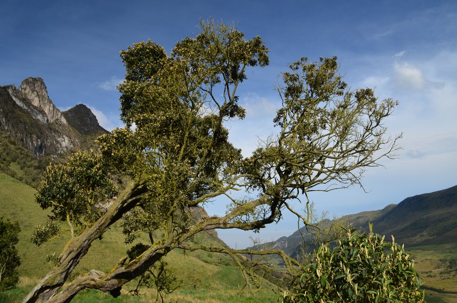 Berge und Tal
