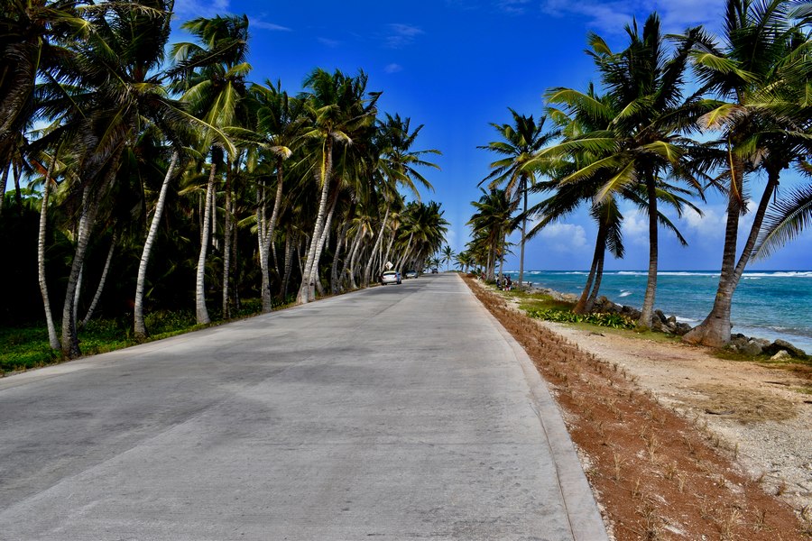 Straße mit Kokospalmen auf San Andrés