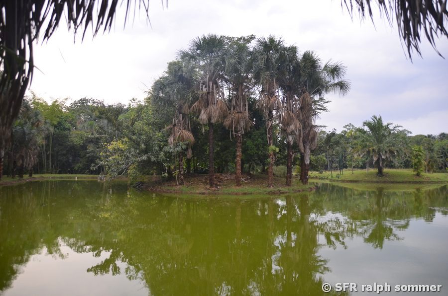 Lagune bei Villavicencio