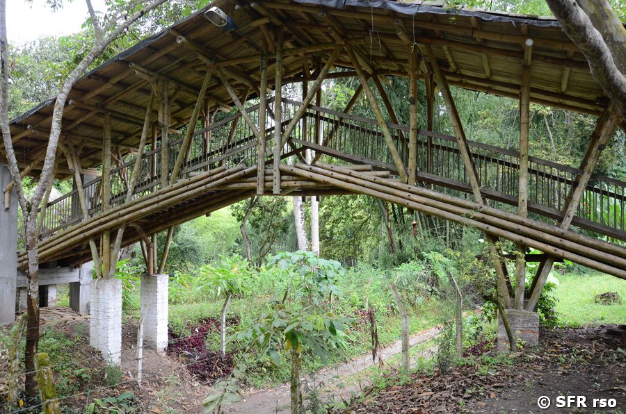 Bambusbrücke