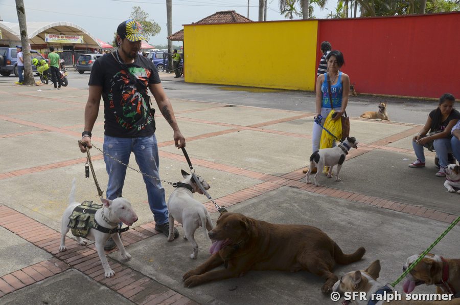 Hundeaussteller mit Hunden