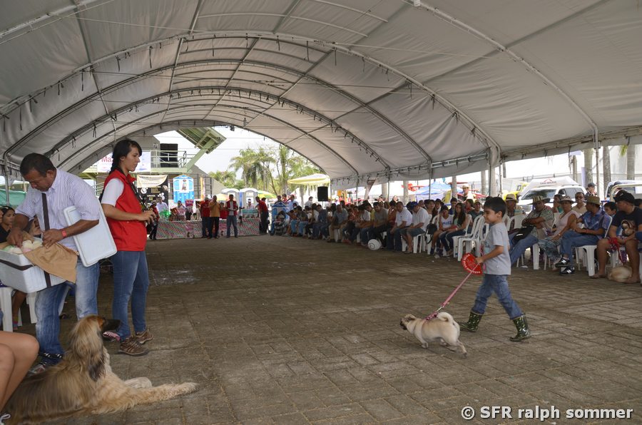 Hundeausstellung