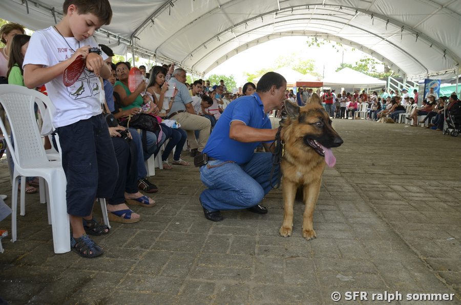 Schäferhund